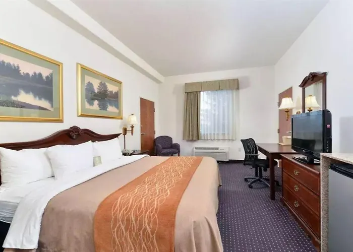Comfort & 3*