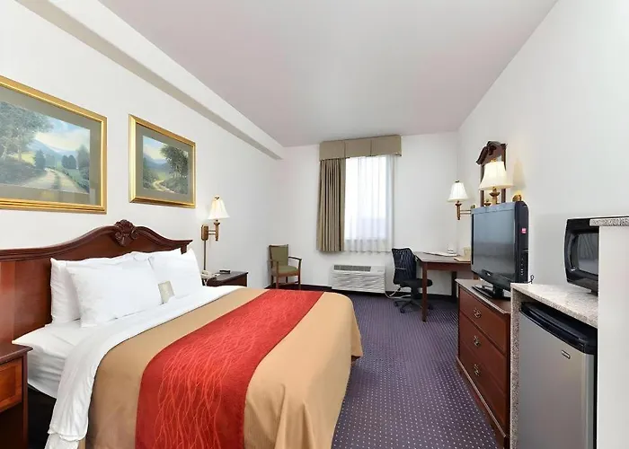 Comfort & Hotel 3*