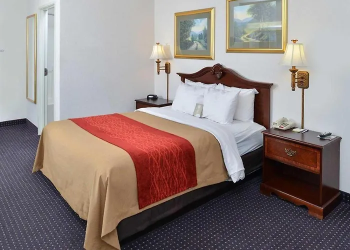 Comfort & 3*