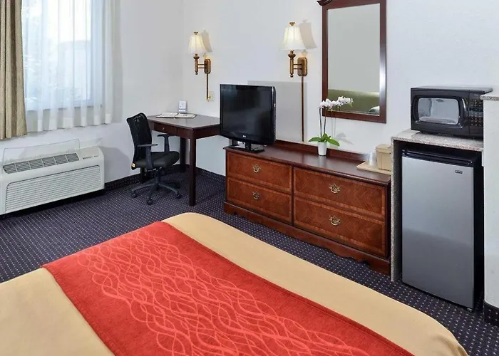 Comfort & 3*