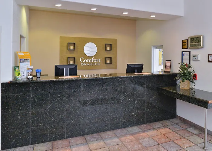 Hotel Comfort &