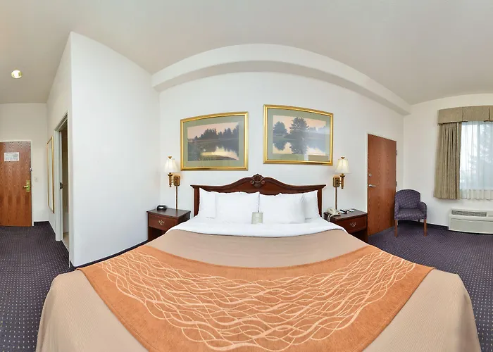 Comfort & Hotel 3*
