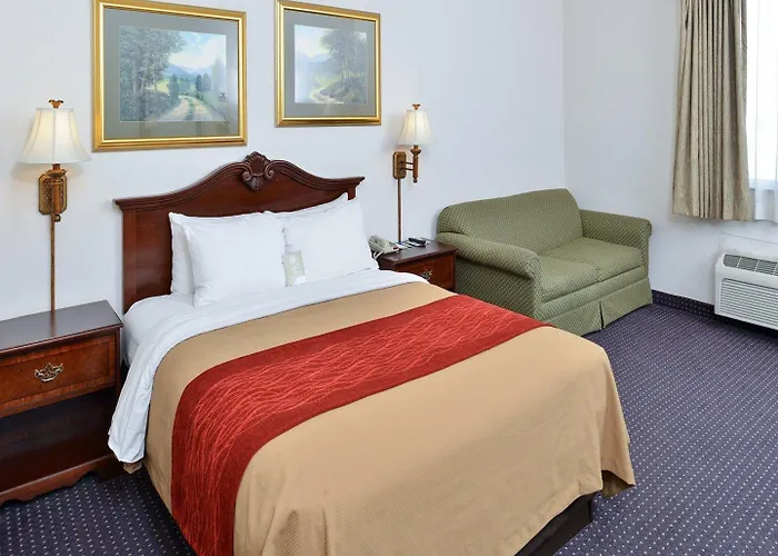 Hotel Comfort &