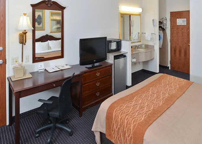 Comfort & Hotel