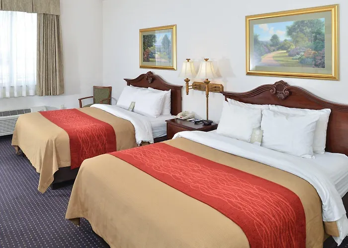 Hotel Comfort &