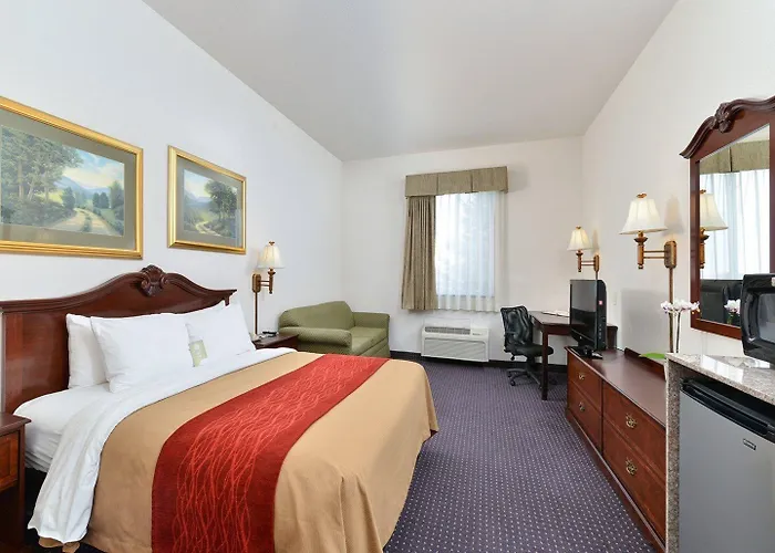 Comfort & Riverton
