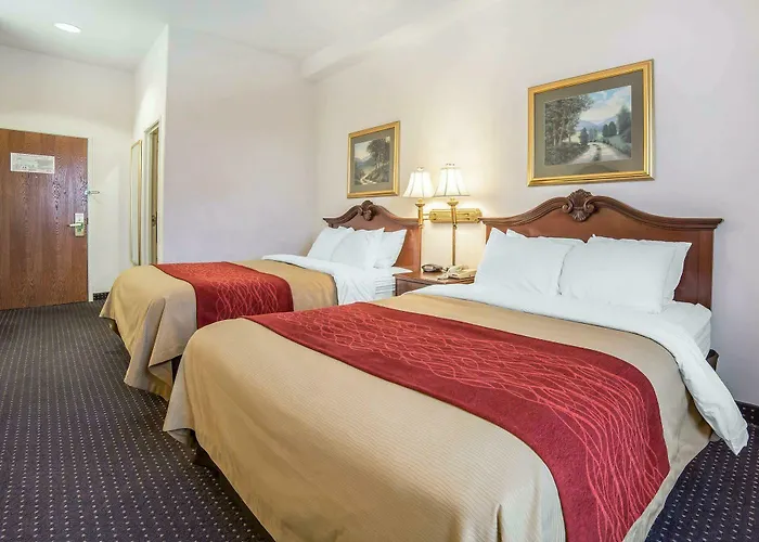 Hotel Comfort & 3*
