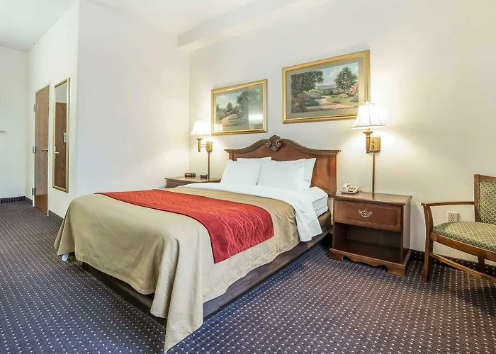 Comfort & Hotel 3*