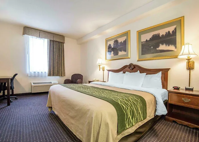 Hotel Comfort & 3*